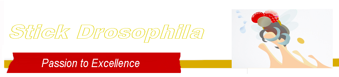 Stick Drosophila